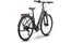 Raymon Zayn Pro - 28 Zoll - Tiefeinsteiger - 2027