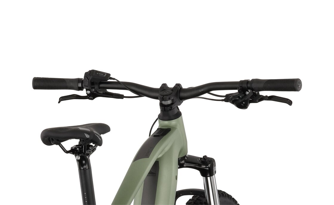 Carver Strict E.520 - 625 Wh - 29 Zoll - Diamant