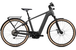 Flyer Gotour 7.12 XC ABS Gents - 750 Wh - 28 Zoll - Diamant