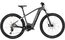 Carver Strict E.540 - 625 Wh - 29 Zoll - Diamant