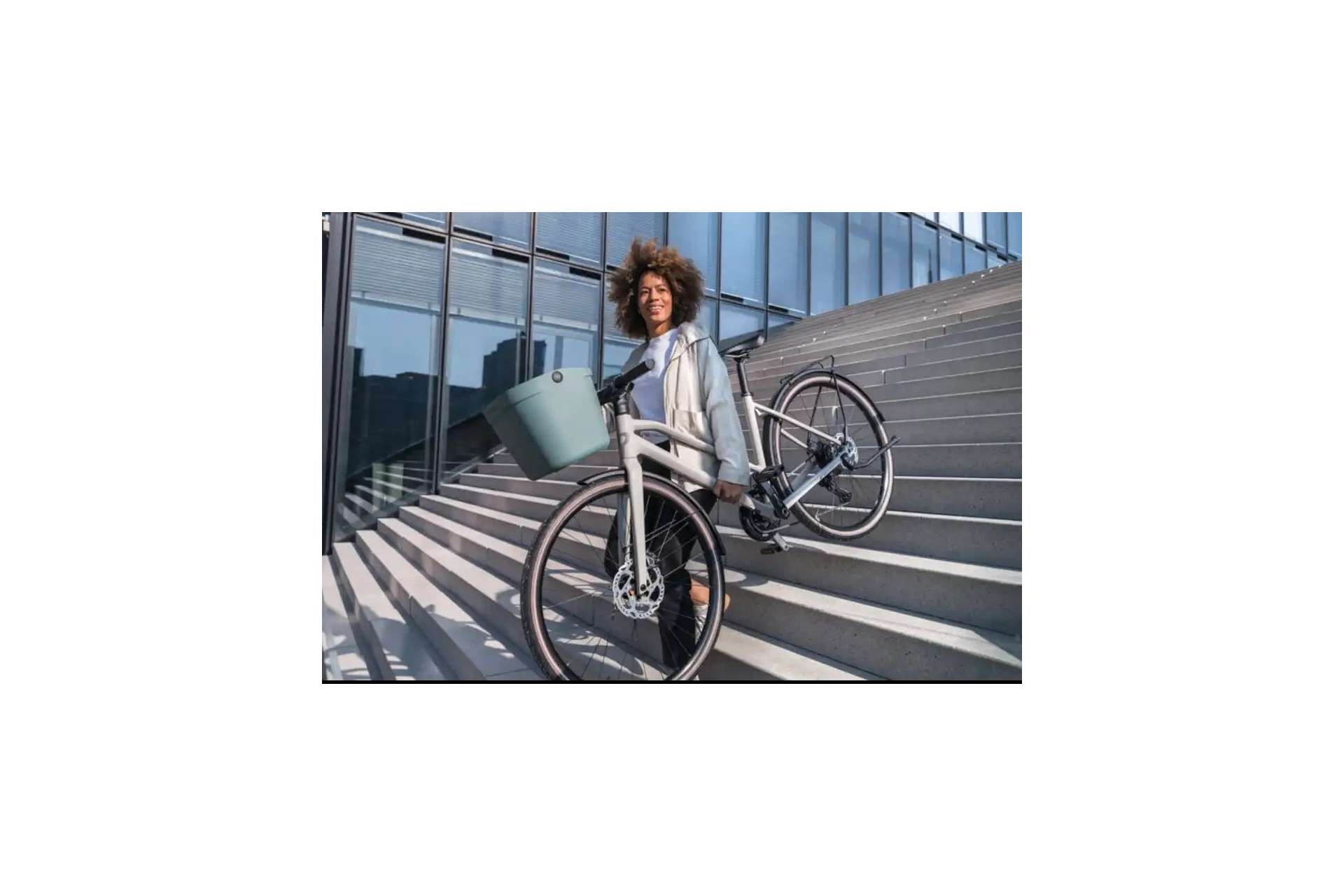 KLICKfix by Rixen&Kaul Mio Basket Lenkerkorb