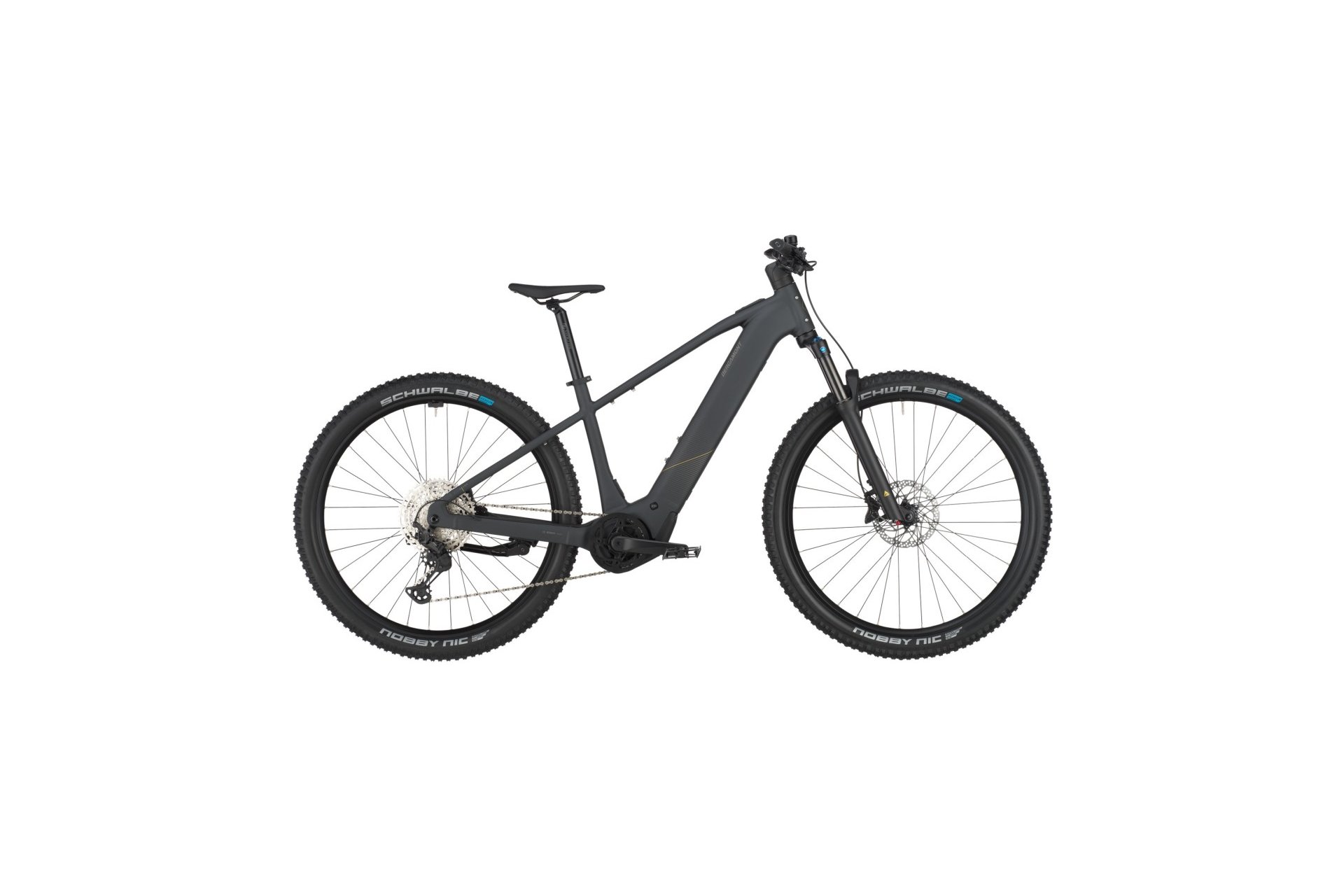 Bergamont E-Revox Sport 10 - 800 Wh - 29 Zoll - Diamant