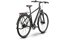 Raymon Zayn Ultra - 28 Zoll - Diamant - 2026