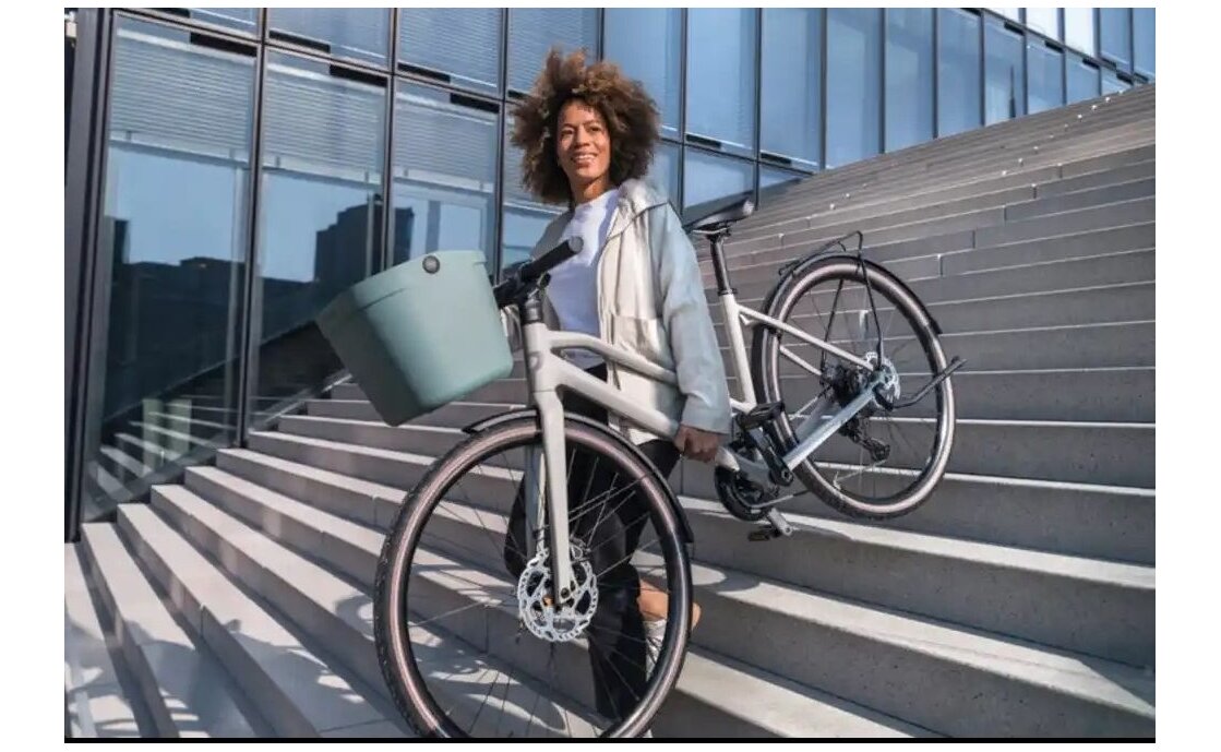 KLICKfix by Rixen&Kaul Mio Basket Lenkerkorb