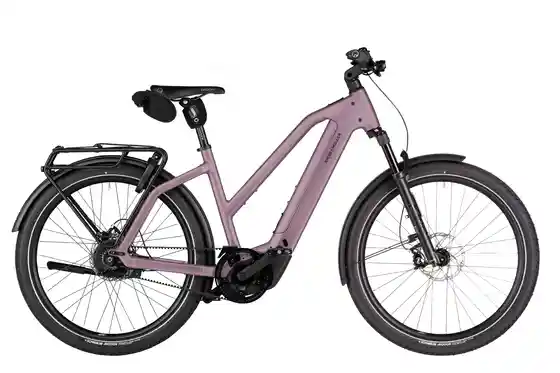 Riese und Müller - Riese und Müller Charger5 Mixte vario - 800 Wh - 27,5 Zoll - Trapez - 2027