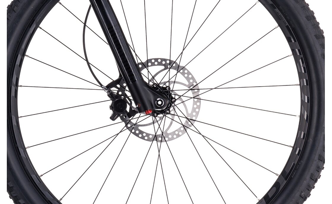 Cube AMS ONE11 C:68X Pro 29 - 29 Zoll - Fully - 2023