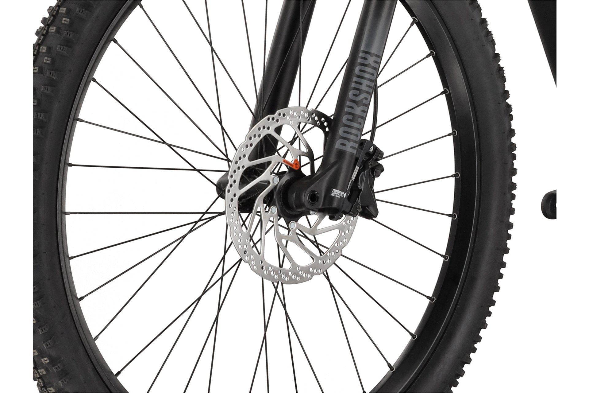 Carver Strict E.540 - 625 Wh - 29 Zoll - Diamant