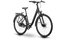 Raymon Zayn Ultra - 28 Zoll - Tiefeinsteiger - 2026