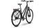 Raymon Zayn Ultra - 28 Zoll - Trapez - 2026