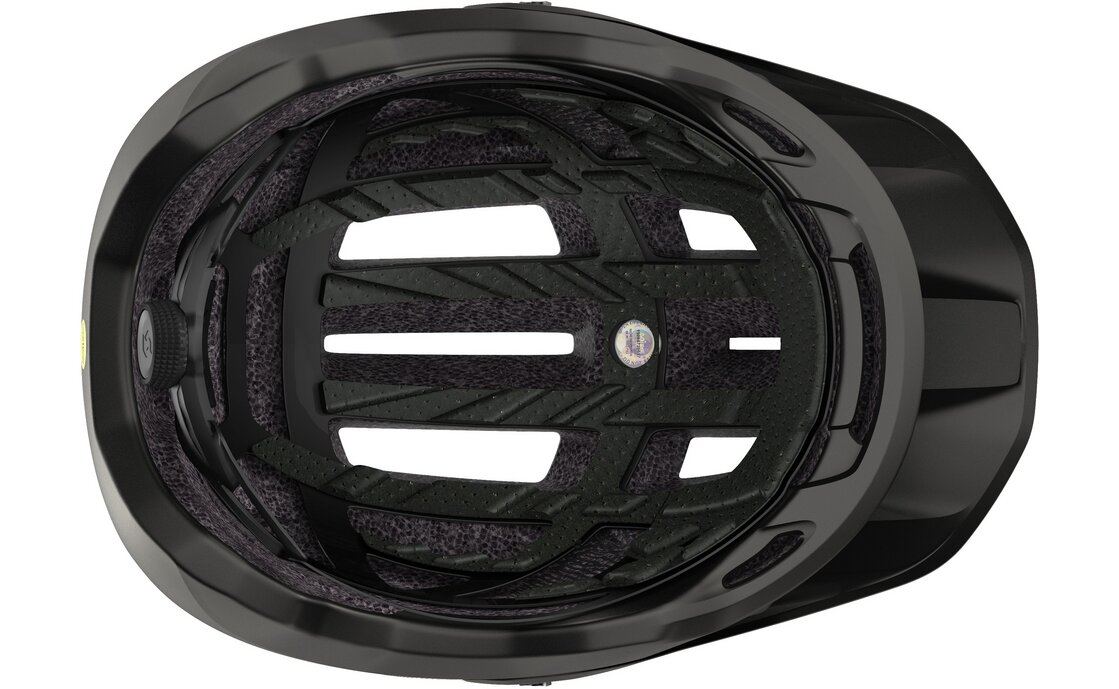 Scott Stego Plus MIPS