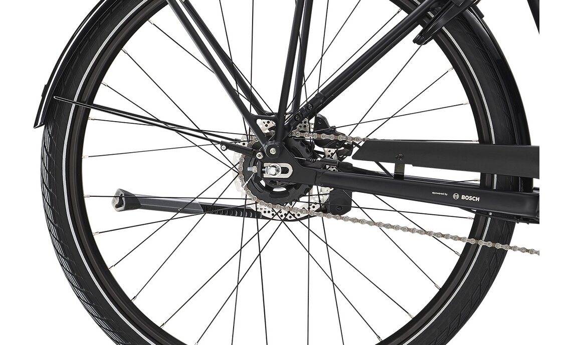 Diamant Beryll Deluxe+ RT - 500 Wh - 28 Zoll - Tiefeinsteiger