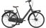 Gazelle Bloom - 28 Zoll - Tiefeinsteiger - 2025