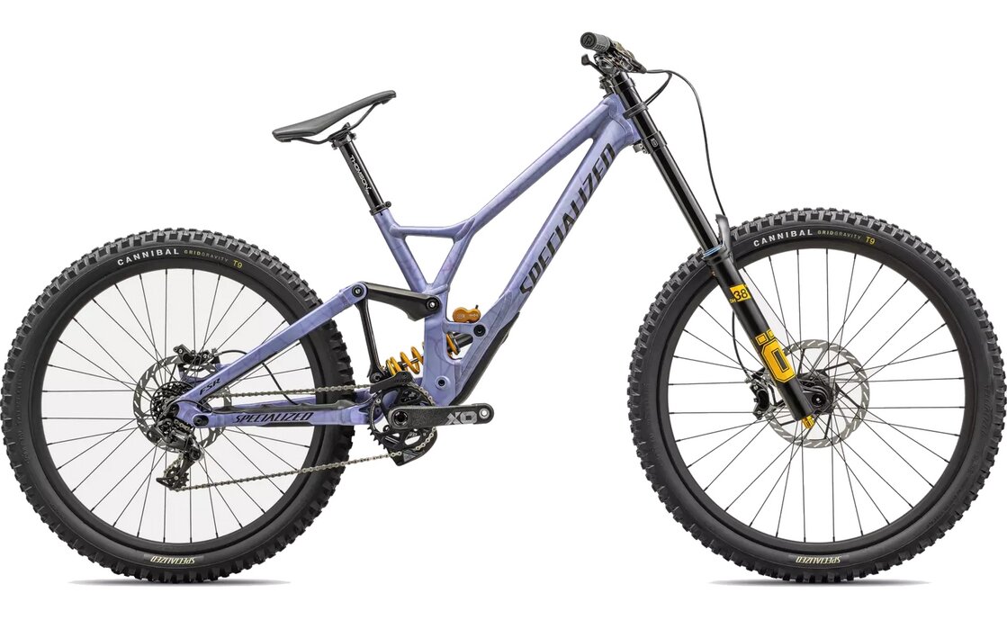 Specialized Demo Race - 2024 - 29/27,5 Zoll - Fully