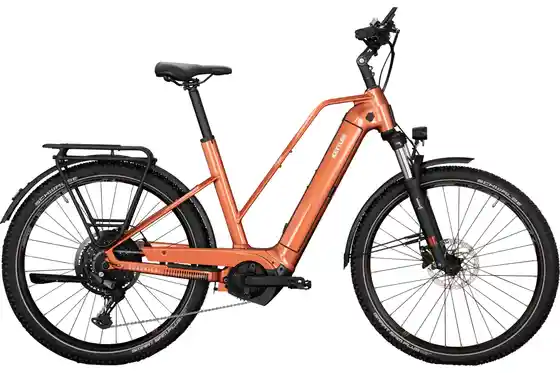 E-Bike Trekking - Kettler Quadriga Town & Country P10 - 625 Wh - 27,5 Zoll - Trapez