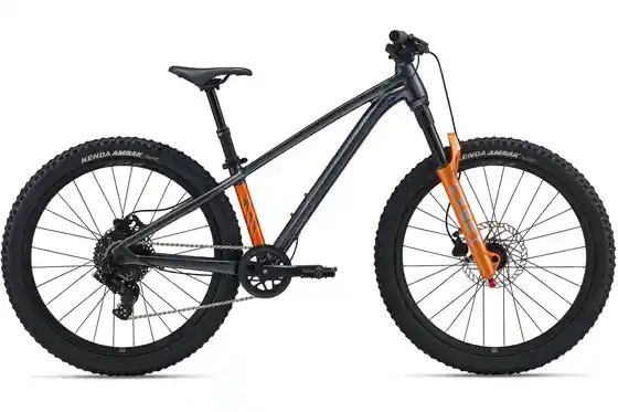 24 Zoll - Fahrräder - Giant STP 24 FS - 24 Zoll - Diamant - 2027