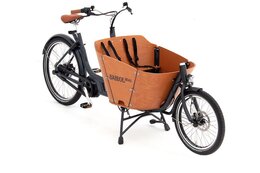 Babboe Big E - Babboe Mini Mountain - 400 Wh - 26 Zoll - Long John