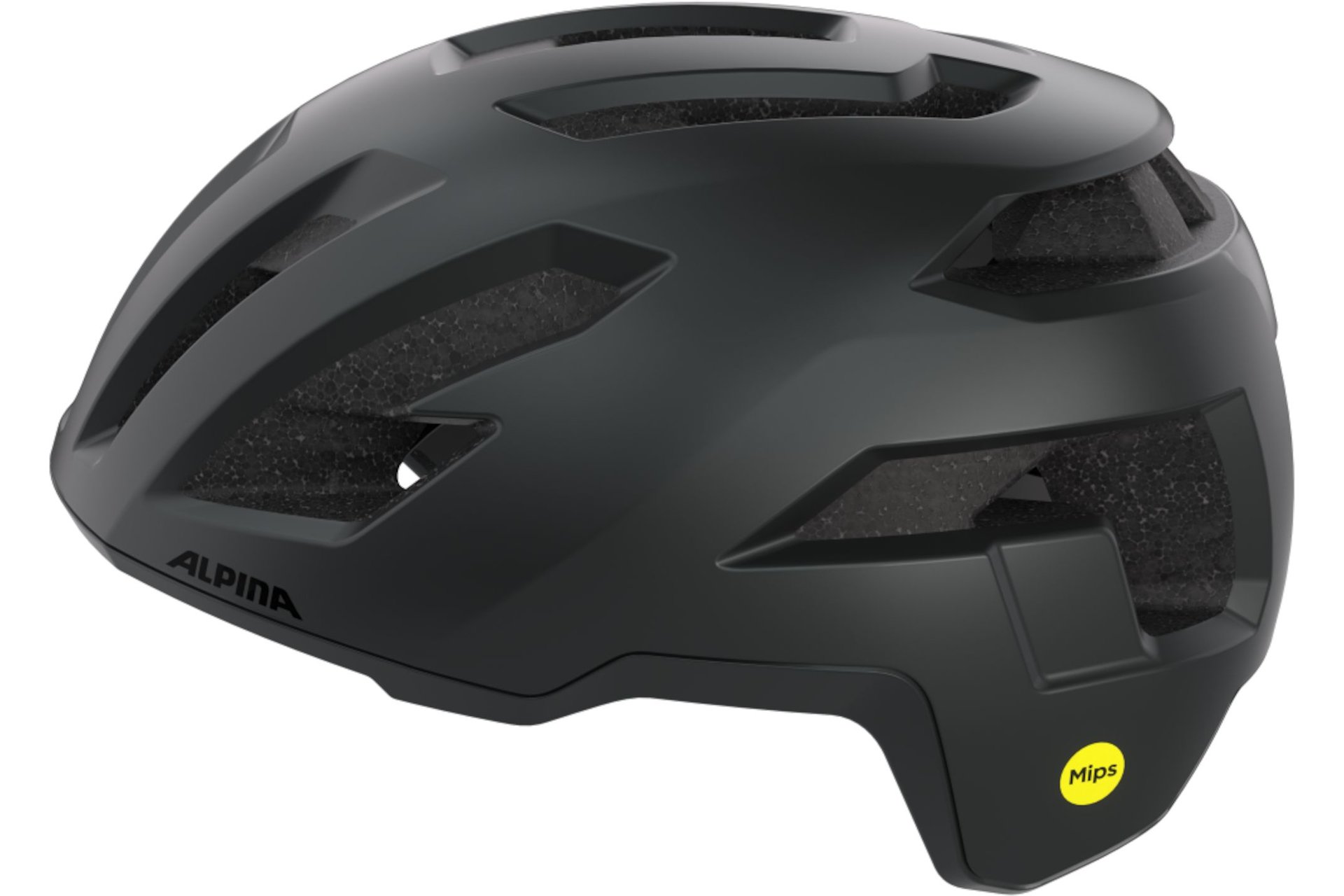 Alpina Taunus Gravel MIPS