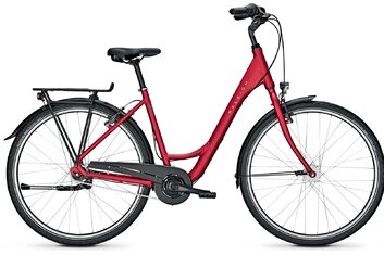 Tiefeinsteiger - Citybike - Raleigh Devon 7 - 2021 - 28 Zoll - Tiefeinsteiger