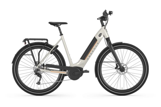 E-Bike Hollandrad günstig online kaufen bei Fahrrad XXL