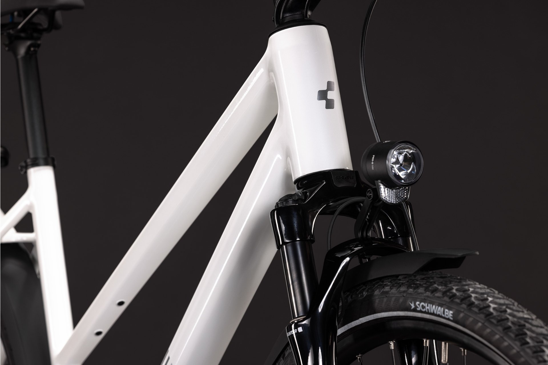 Cube Kathmandu Pro - 28 Zoll - Trapez - 2027