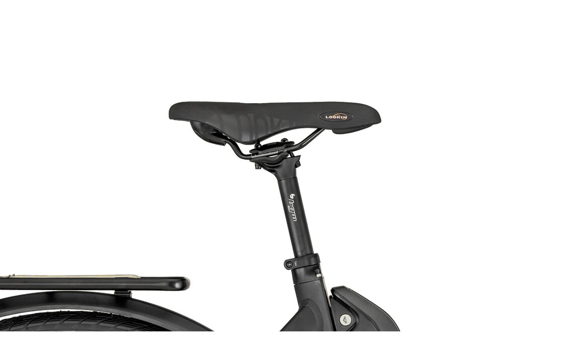 Bergamont E-Ville Pro - 500 Wh - 28 Zoll - Tiefeinsteiger - Aktion
