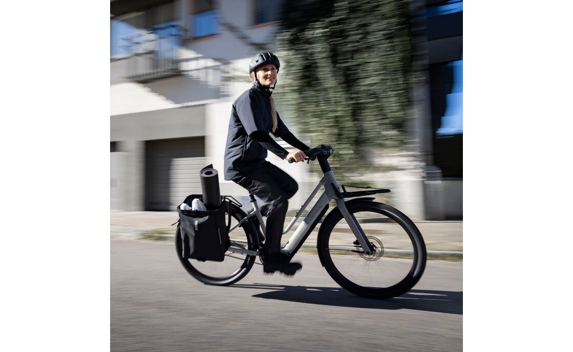 Thule Chasm Bin InLock 25L - einzeln