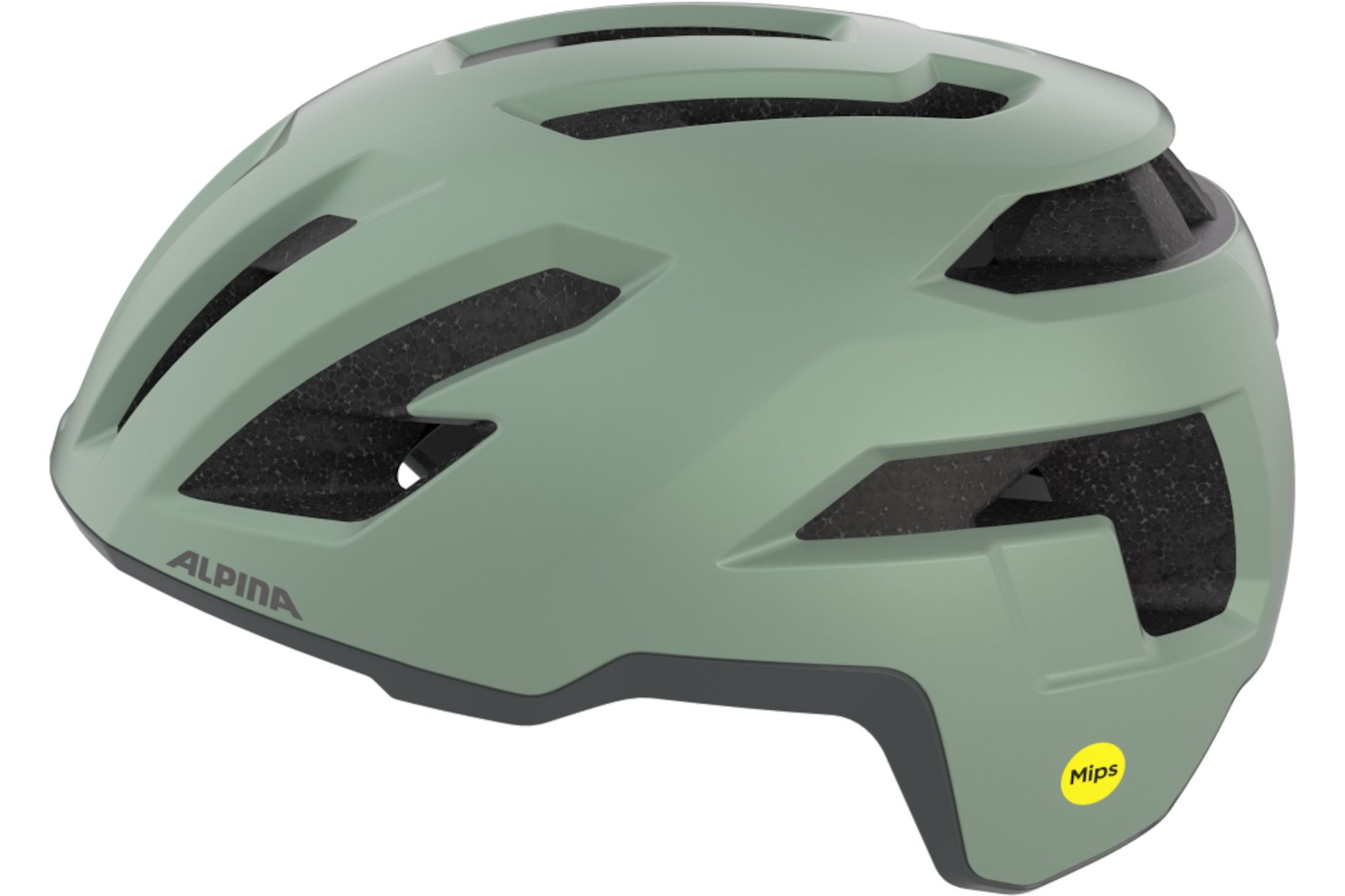 Alpina Taunus Gravel MIPS