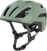 willow-green matt