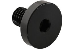 Carver Schraube M10x20