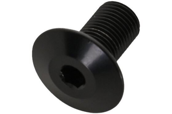 Fahrradrahmen - Carver Schraube M10x21