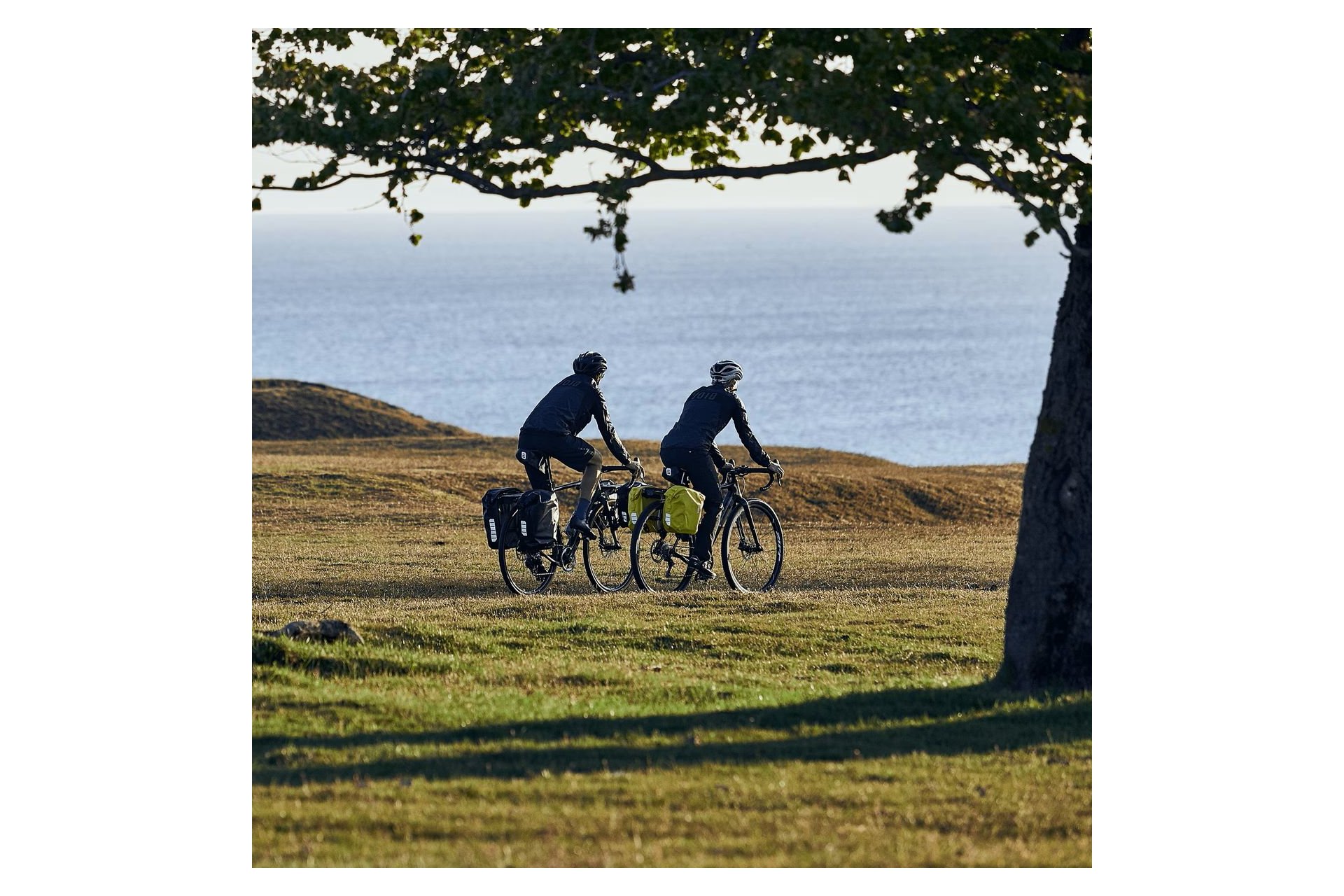 Thule Shield Pannier Packtaschen 25L - Paar