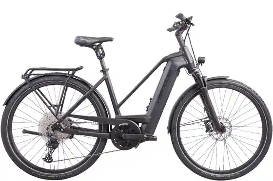 E-Bike Trekking - Hercules E-Imperial Max I-12 - 750 Wh - 28 Zoll - Trapez