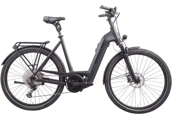 E-Bike Trekking - Hercules E-Imperial Max I-12 - 750 Wh - 28 Zoll - Tiefeinsteiger