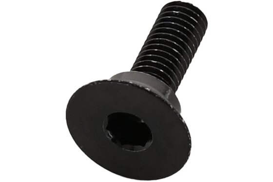 Fahrradrahmen - Carver Schraube M5x17