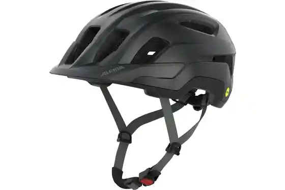 MTB Helme - Alpina Paranus MIPS