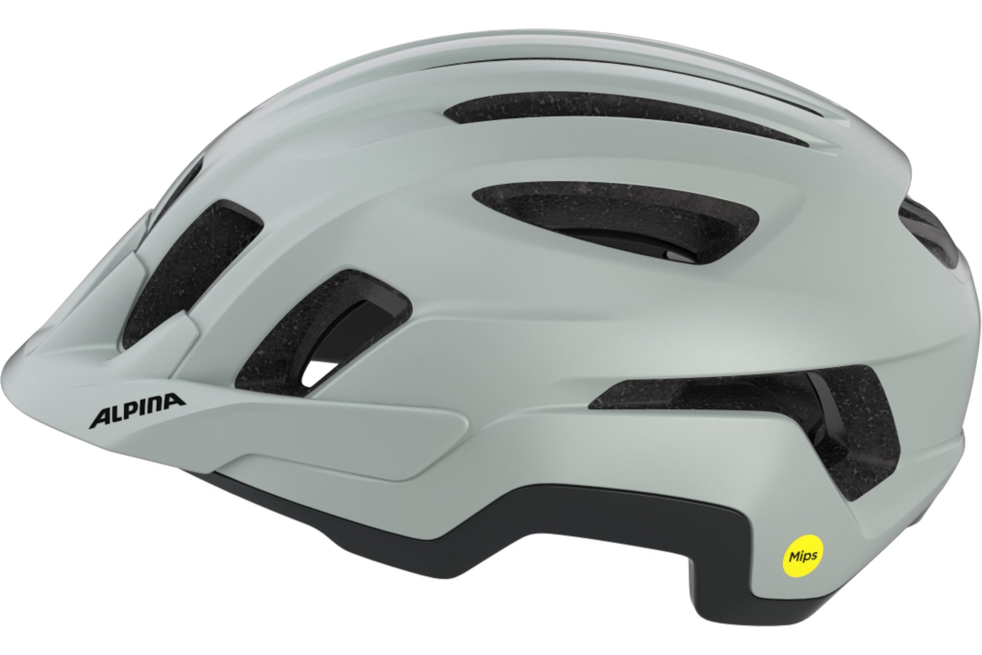 Alpina Paranus MIPS