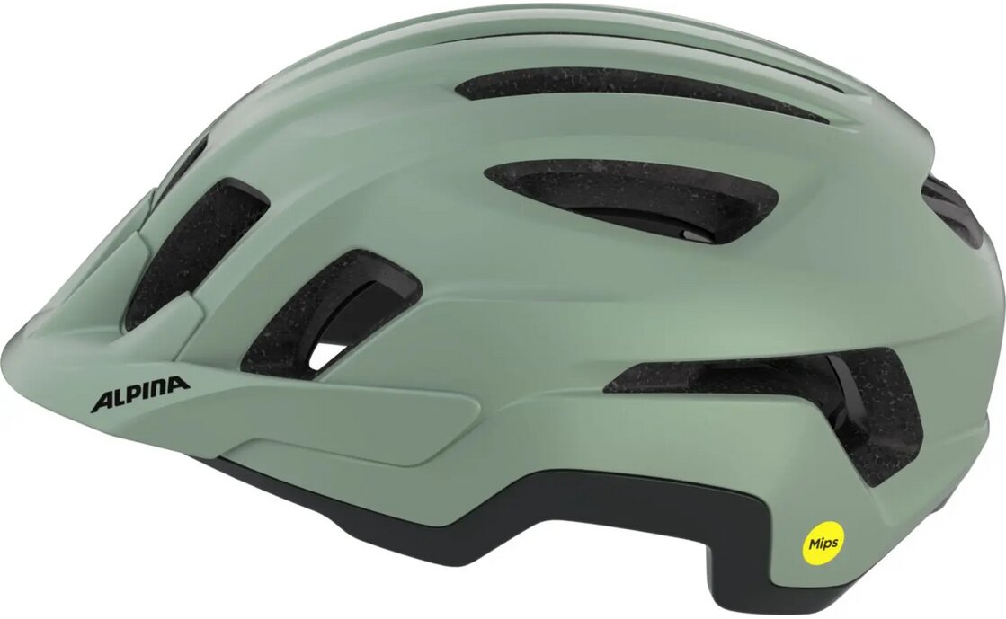 Alpina Paranus MIPS