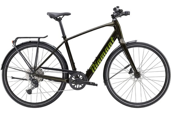 E-Bike City - Diamant 365 Deluxe - Cues - 250 Wh - 28 Zoll - Diamant