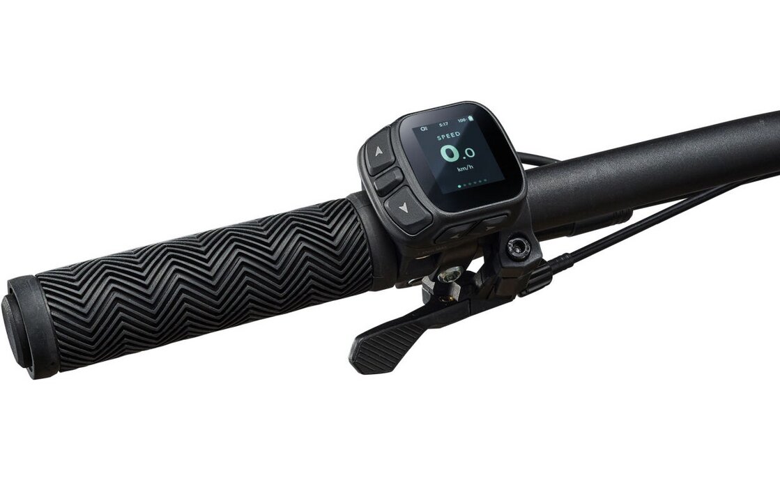 Giant Fathom E+ EX - 750 Wh - 29 Zoll - Diamant - 2026