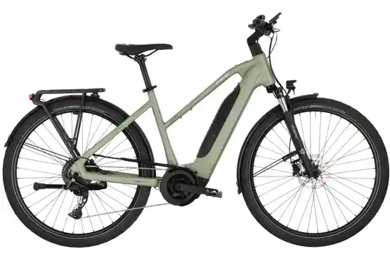 Schwarz - E-Bike-Pedelec - Carver Route E.420 - 545 Wh - 28 Zoll - Trapez - 2026