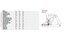 Focus SAM 9.9 - 27,5 Zoll - Fully - Aktion