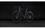 Cube Agree C:62 Pro - 28 Zoll - Diamant - 2027