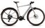 Cube Nulane Hybrid C:62 Race 400X FE - 400 Wh - 28 Zoll - Diamant - 2026