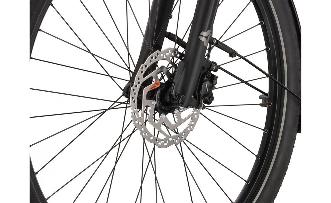 Carver Route E.420 - 545 Wh - 28 Zoll - Diamant - 2026