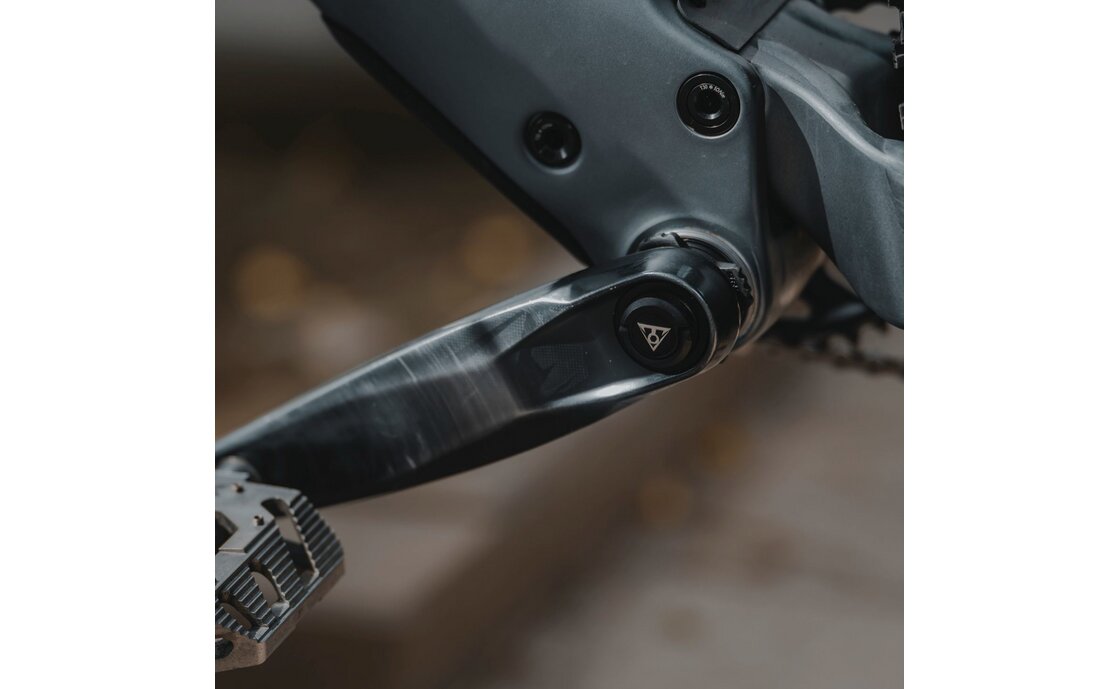 Topeak BB Hide'n Tool