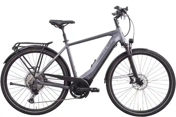 E-Bike Trekking - Hercules Pasero Pro I-12 - 750 Wh - 28 Zoll - Diamant