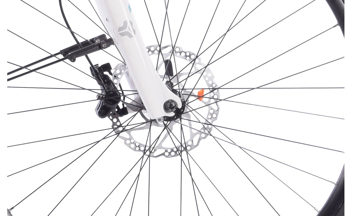 fahrrad xxl carver cinos street 320 damen