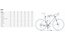 Orbea Alma M50 - 29 Zoll - Diamant - Aktion