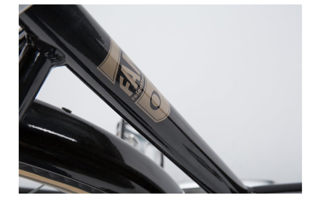 Dancelli Fame 05 - 28 Zoll - Doppelrohr - Aktion