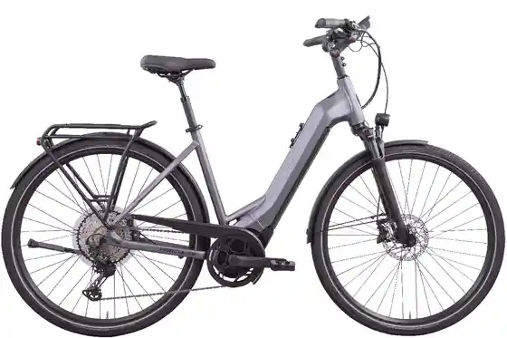 E-Bike Trekking - Hercules Pasero Pro I-12 - 750 Wh - 28 Zoll - Tiefeinsteiger